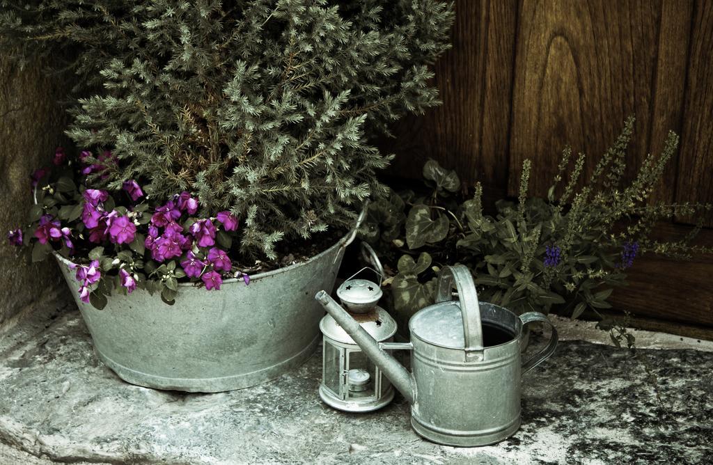 Casona De San Pantaleon De Aras Otel Dış mekan fotoğraf
